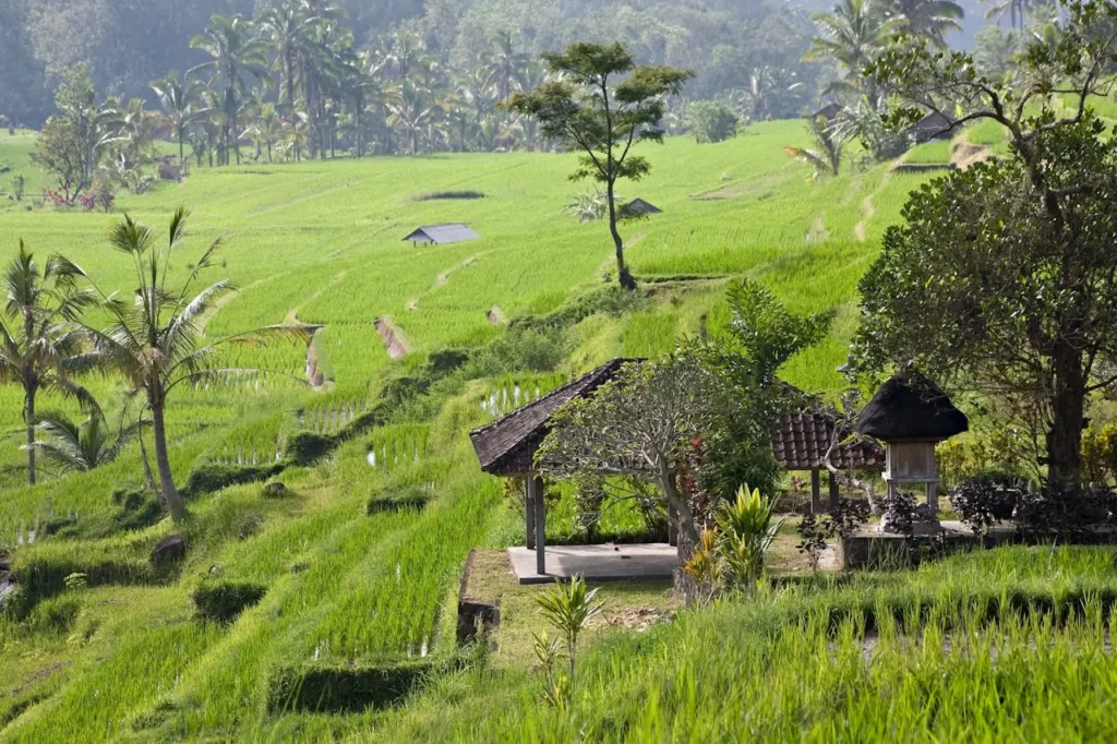Sidemen Valley