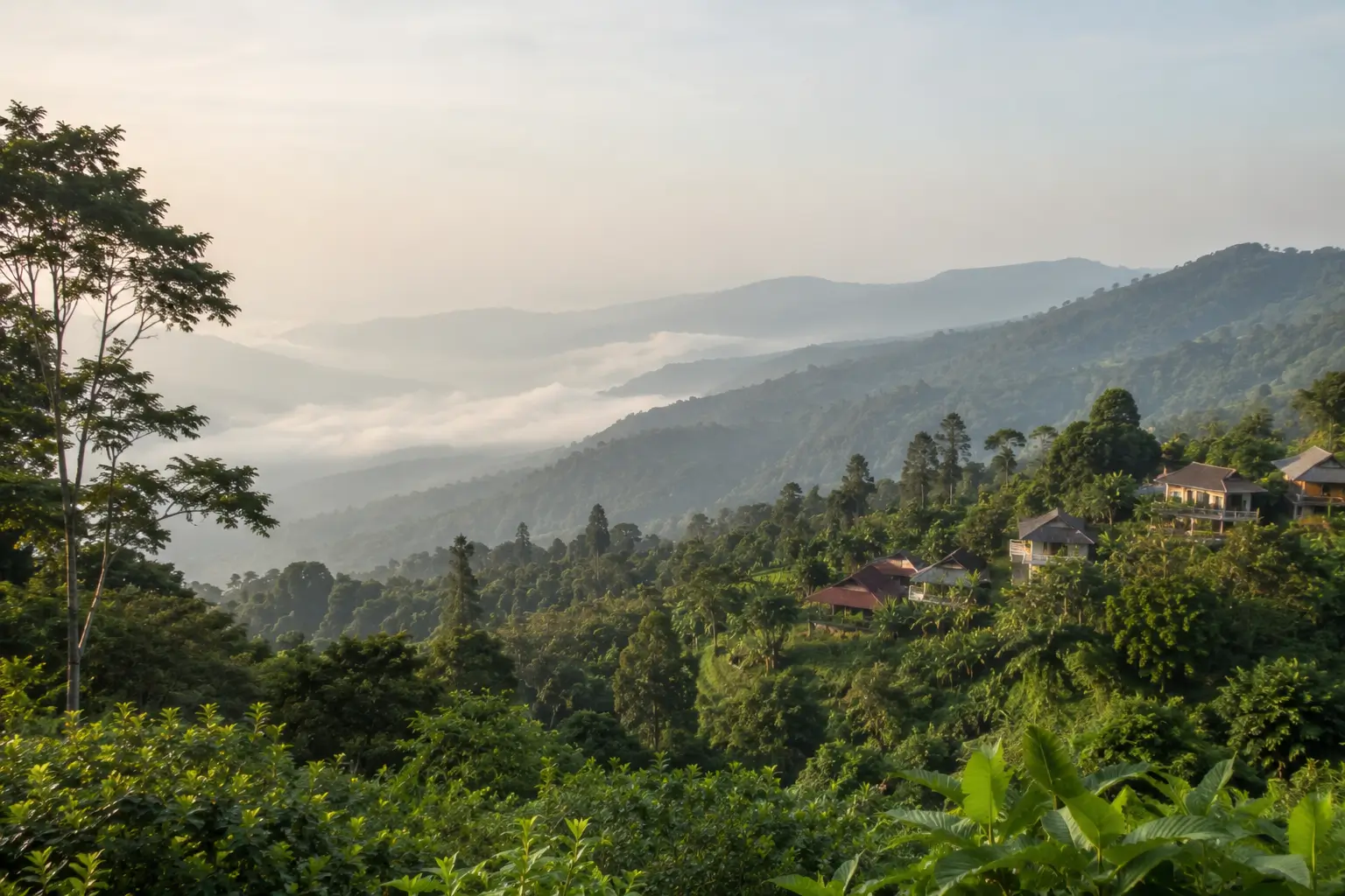 Misty hillside landscape in Munduk Bali with mountain views and tropical forest
