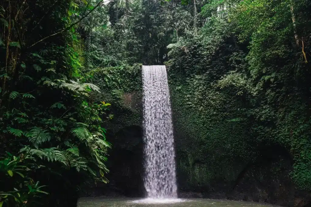 Waterfall surrounded by tropical forest in North Bali
