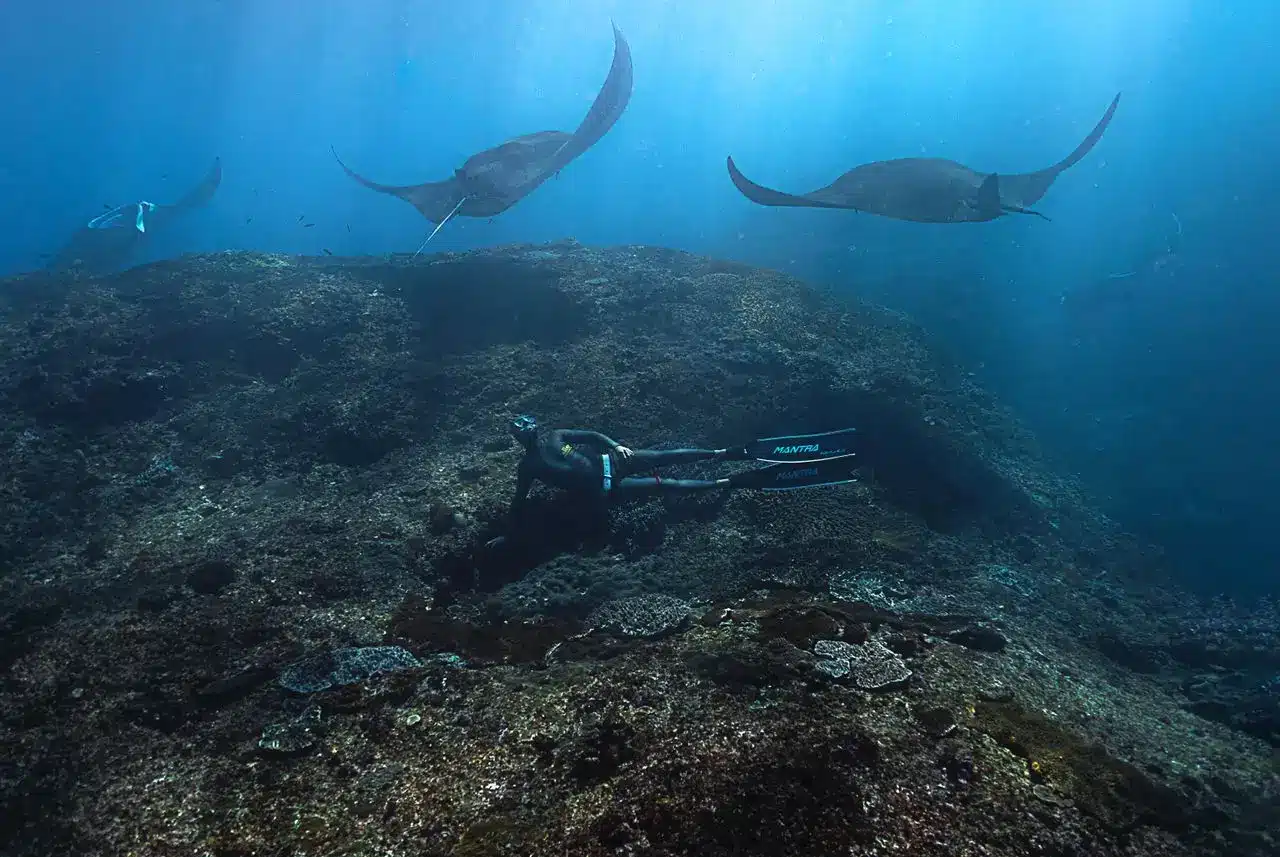 Scuba diver swimming with manta rays in Bali